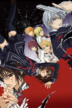 Vampire Knight cover art