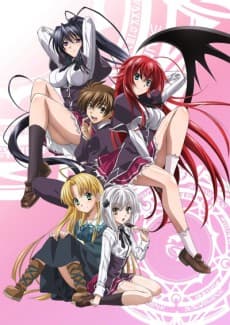 High School DxD cover art